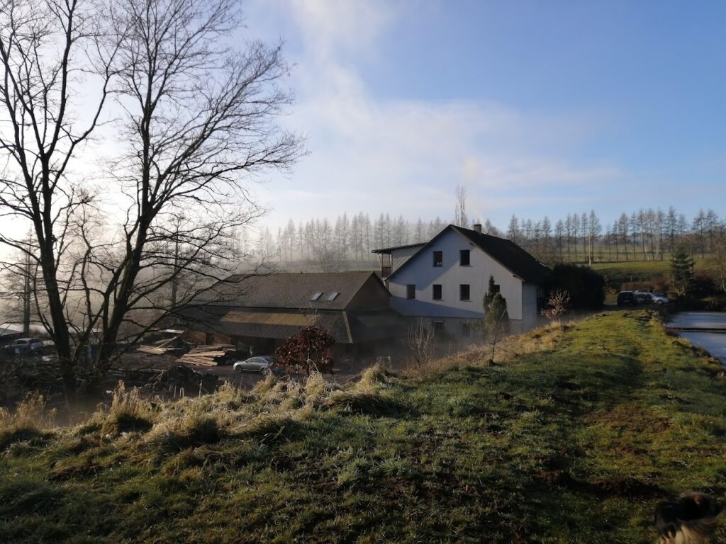 IMG 20221225 101226